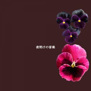 夜明けの音楽 - Perfect Weekend Jazz