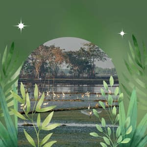 Ballad Jazz - Bgm for Rejuvenating Seasons - Hintergrundmusik