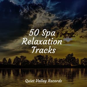 50 Spa Relaxation Tracks - Water Spa