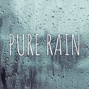Pure Rain: Meditation with Nature, Healing Nature Sounds, Relaxation Zone, Soothing Rain Noises - Pure Nature Tunes