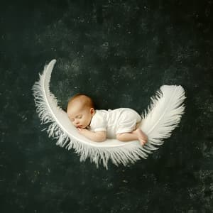 Whimsical Wonderland in Harp Oasis - Harp Music Collective