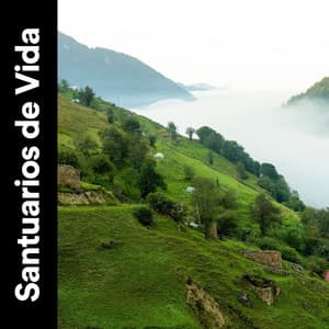 Santuarios de Vida - Sonidos de la Naturaleza para Dormir