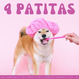 4 Patitas: Un Ambiente De Agua Para Dormir Perros Vol. 2 - Riverside subterráneo