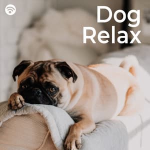Dog Relax - Dog Music Experience