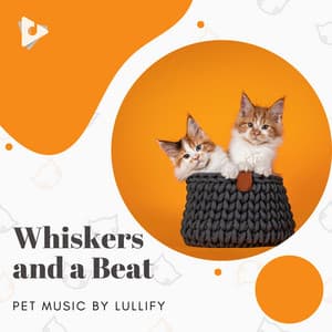 Whiskers and a Beat - Pet Music by Lullify