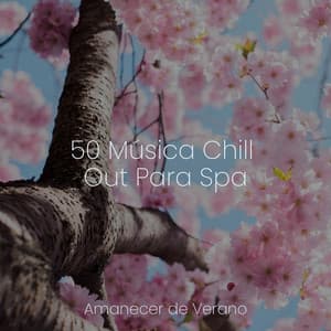 50 Música Chill Out Para Spa - Instrumental