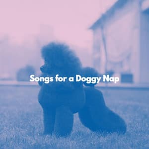 Songs for a Doggy Nap - Popular Jazz Lounge Bar
