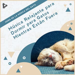 Música Relajante para Dormir para Gatos Mientras Están Fuera - Hora de la Música del Gato