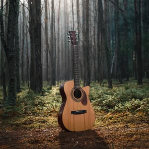 Música De Guitarra Para Flotar Entre La Luz Del Bosque Y Brisas Suaves - Tranquilo Musica Relajante de Guitarra