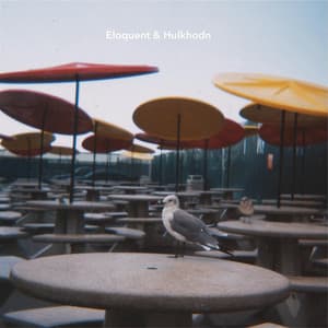 Mit Kanonen auf Spatzen schießen - elo