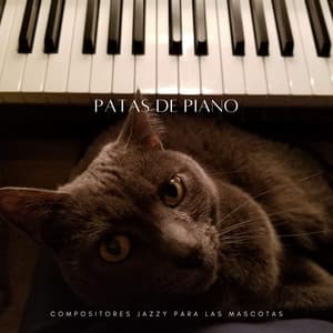 Patas De Piano: Compositores Jazzy Para Las Mascotas - Lista de reproducción de piano clásico