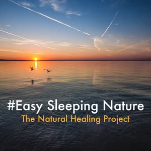 #Easy Sleeping Nature - The Natural Healing Project