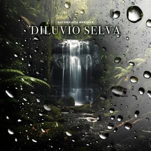 Diluvio Selva - Naturaleza Sonidos