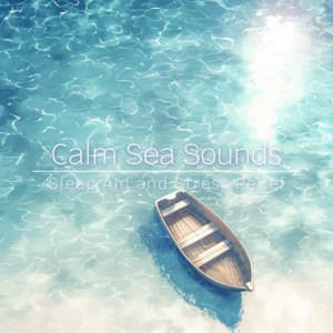 Calm Sea Sounds - Sleep Aid and Stress Relief - Ocean Waves for Deep Sleep
