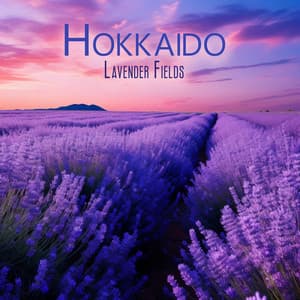 Hokkaido Lavender Fields - Asian Zen