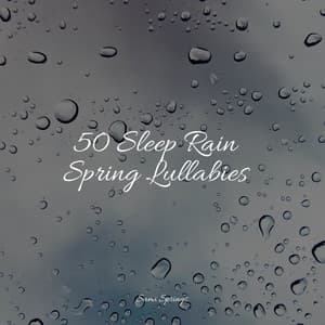 50 Loopable Rain Sounds for Deep Sleep and Meditation - Binaural Beats Brain Waves Isochronic Tones Brain Wave Entertainment