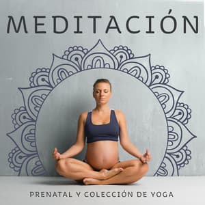 Meditación Prenatal y Colección de Yoga - Música Relajante para Prácticas de Meditación y Ejercicios de Yoga para Mujeres Embarazadas - Relajación Meditar Academie