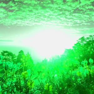 Backdrop for Chill Details - Jazz-hop - Jamie Lofi