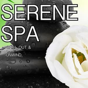 Serene Spa - Chakra's Dream