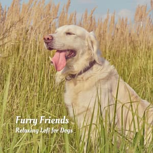 Furry Friends: Relaxing Lofi for Dogs - Beats De Rap