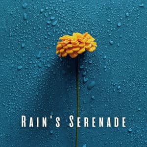 Rain's Serenade: Binaural Study Sanctuary - Solfeggio