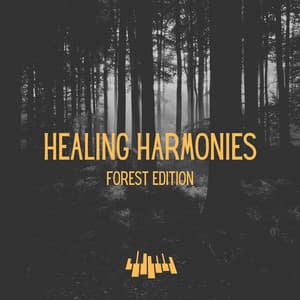 Healing Harmonies: Forest Edition - Piano Music Spa