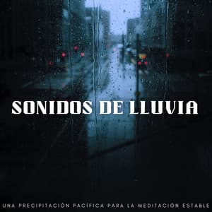 Sonidos De Lluvia: Una Precipitación Pacífica Para La Meditación Estable - La lluvia es mi vida