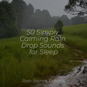 50 Simply Calming Rain Drop Sounds for Sleep - Sonidos De Truenos y Lluvia
