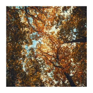 Sweet Relaxation Time for You - Relaxation Zone