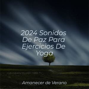 2024 Sonidos De Paz Para Ejercicios De Yoga - Smart Baby Lullaby