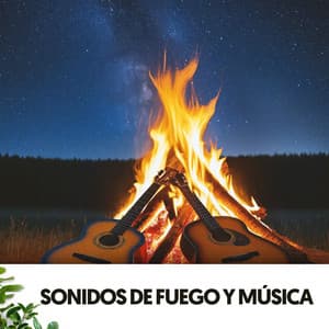 Sonidos de Fuego y Música: Melodías ardientes bajo las estrellas - Ruido Blanco Hart