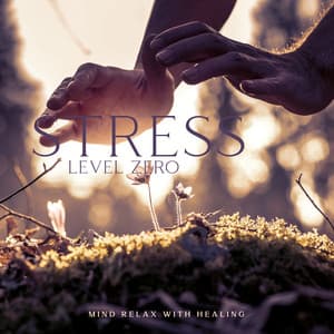 Stress Level Zero: Mind Relax with Healing Music, Reiki Meditation for Stress Relief and Sleep - Reiki Music Energy Healing