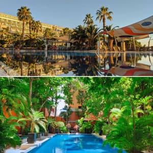 Warm - French Pastry Shop Music