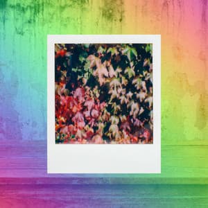 Quiet Music for Lightening Up Atmosphere - Piano Duo - Essential Dinner Party Background Music