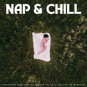 Nap & Chill: Soothing Streams Of Water To Fall Asleep In Minutes - Waveseekers
