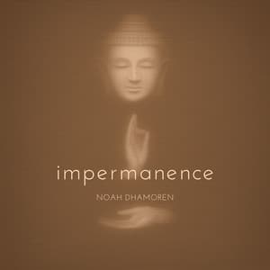 Impermanence - Noah Dhamoren