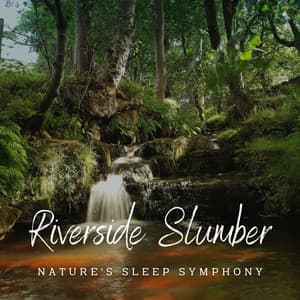 Riverside Slumber: Nature's Sleep Symphony - Riverfall Science