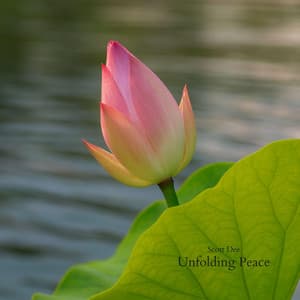 Unfolding Peace - Scott Dee