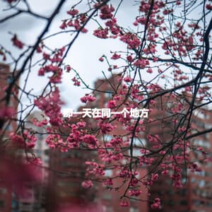 那一天在同一个地方 - Jazz BGM