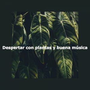 Despertar con plantas y buena música - Night Time Jazz Culture