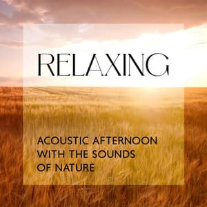 Relaxing Acoustic Afternoon with the Sounds of Nature: Music for Spa, Meditation, Yoga and Sleep - Calm Nature Oasis