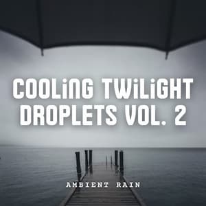Ambient Rain: Cooling Twilight Droplets Vol. 2 - Weather and Nature Recordings