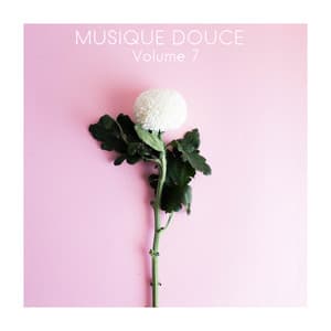 Musique douce, Vol. 7 - Musique Zen Garden