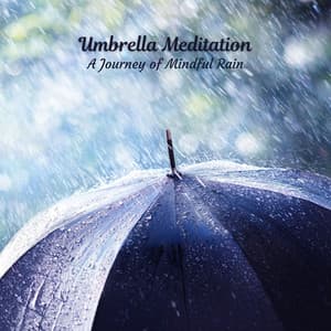 Umbrella Meditation: A Journey of Mindful Rain - Rain Face