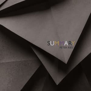 Summary - Peter Ries
