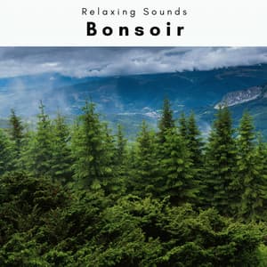 Bonsoir vol. 2 - Forest Noir