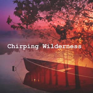 Chirping Wilderness - The Sound Of The Jungle