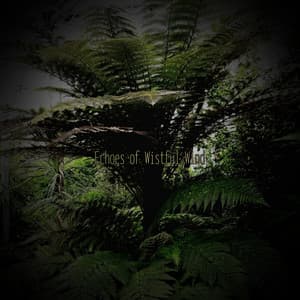 Echoes of Wistful Wind - Lumenis