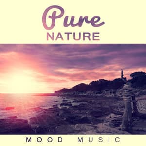 Pure Nature Mood Music - Relaxing Sounds Of Nature