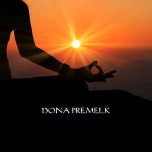 Ascending Beyond Shadows - Dona Premelk